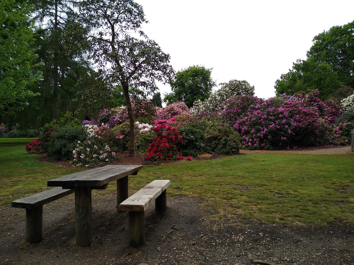 View of the finish area by Fiona Kennedy